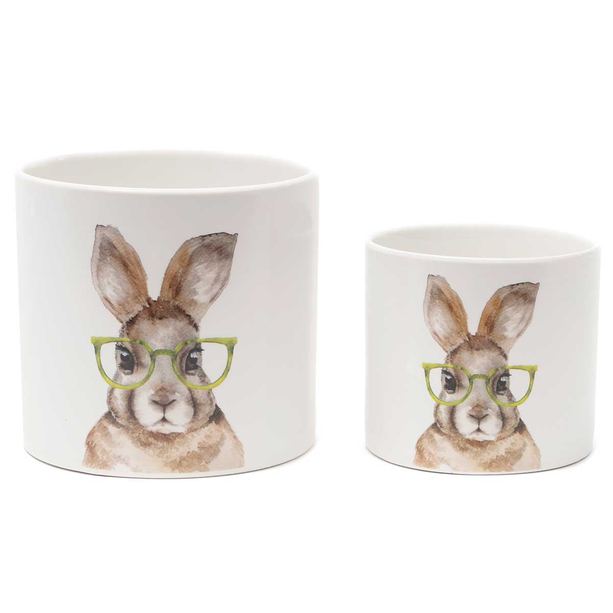 Bunny with Green Glasses Pot | Large