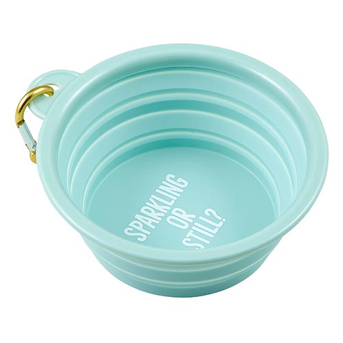 Collapsible Pet Bowl - Small | Sparkling or Still?