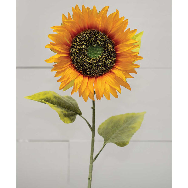 Kansas Single Sunflower Stem