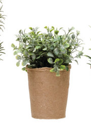 Faux Herb in Paper Pot | 5 Styles