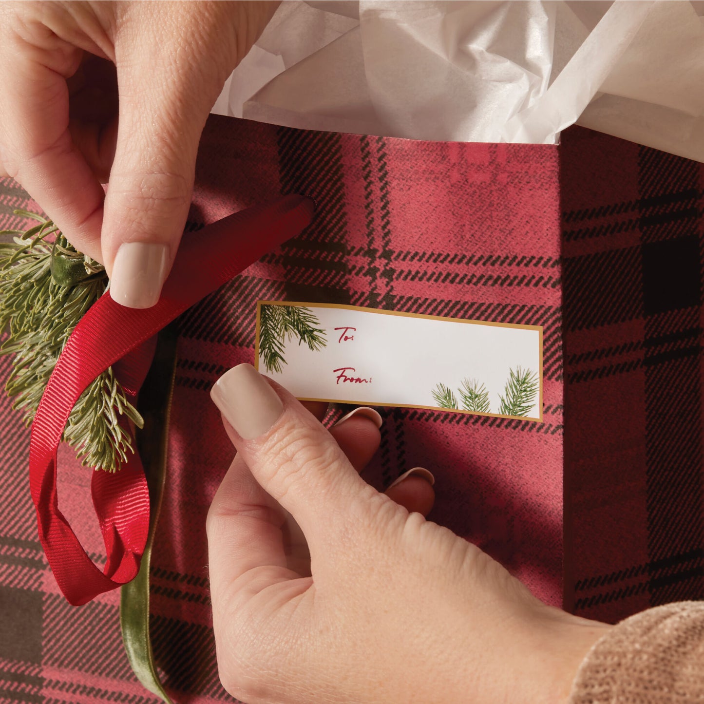 Fraser Fir Fragranced Adhesive Gift Tags | Thymes