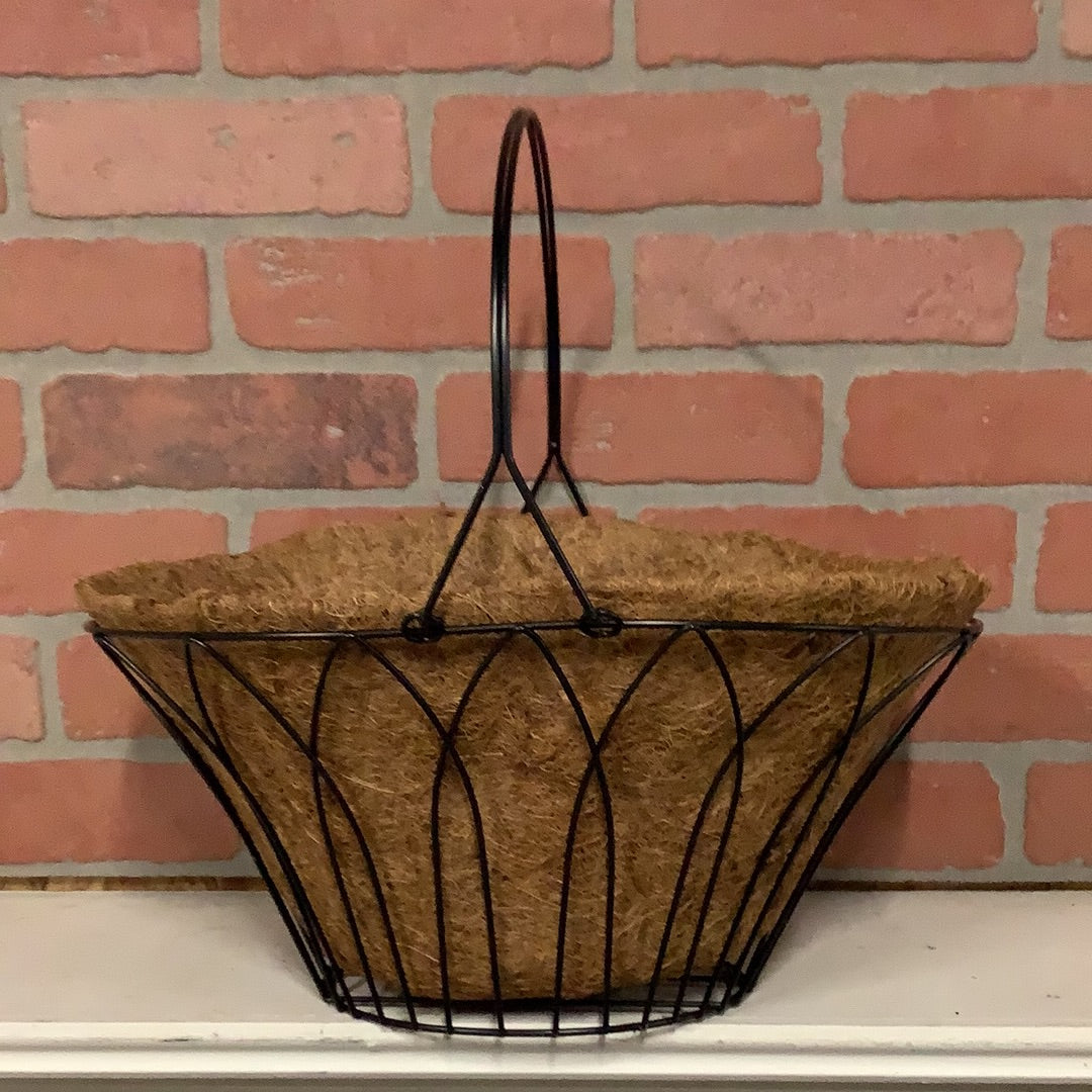 Oval metal wire basket with coco liner