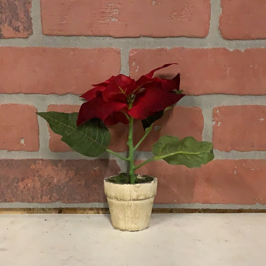 Red Poinsettia in Small Pot
