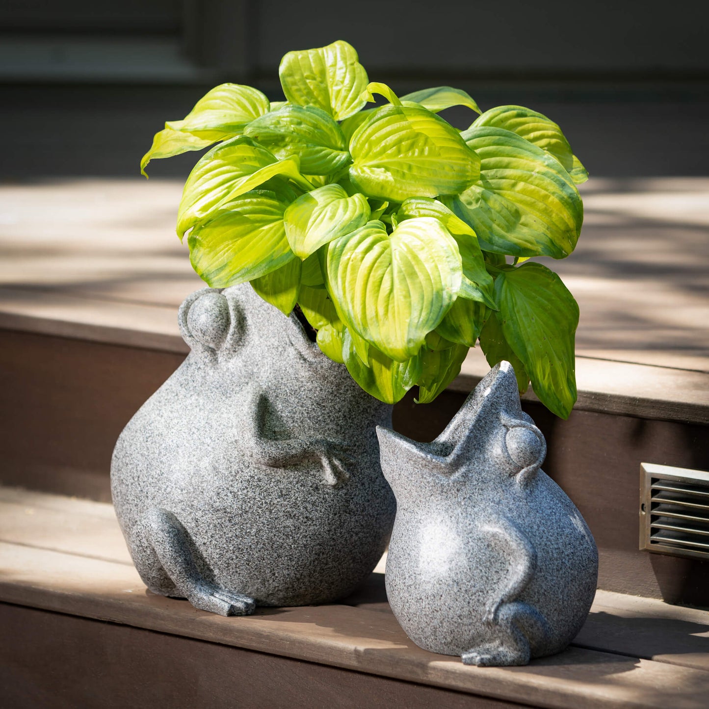 Tongue-In-Cheek Frog Planters | 2 Assorted